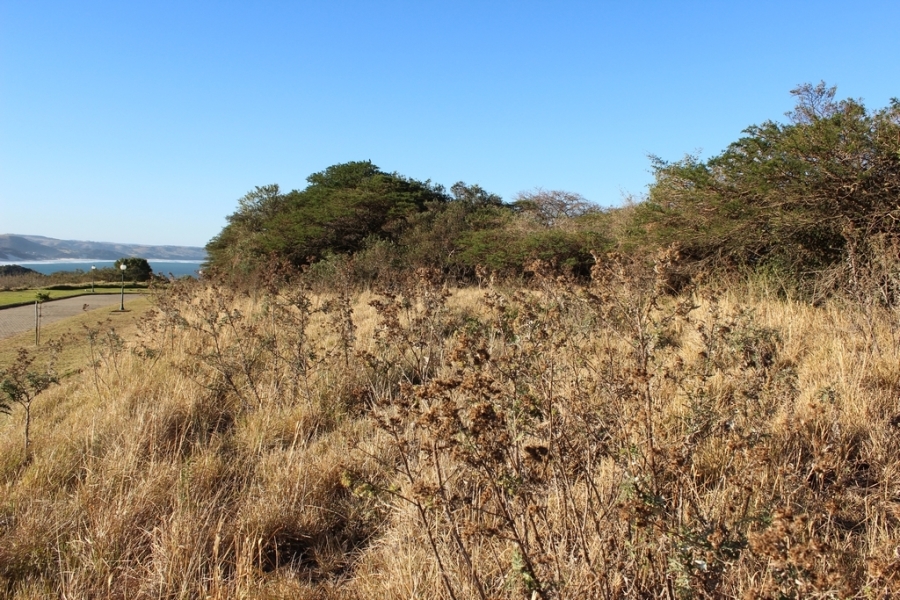0 Bedroom Property for Sale in Khamanga Bay Eastern Cape